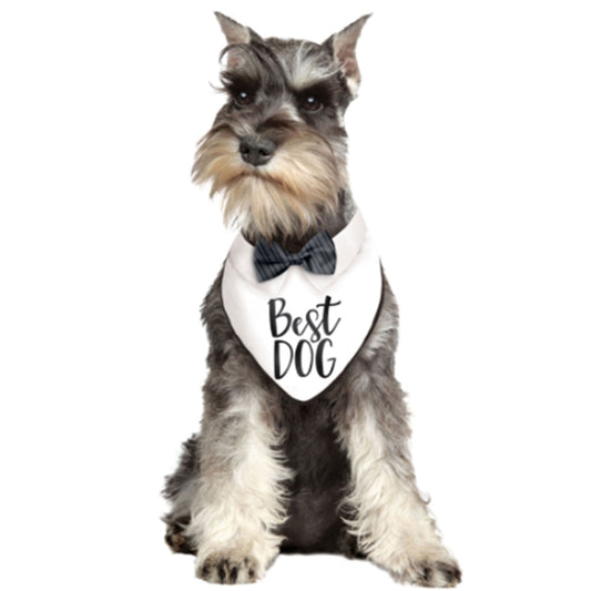 Wedding Best Dog Bandana