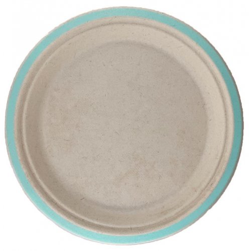 Sugarcane Dinner Plates 230mm Mint Green P10x10