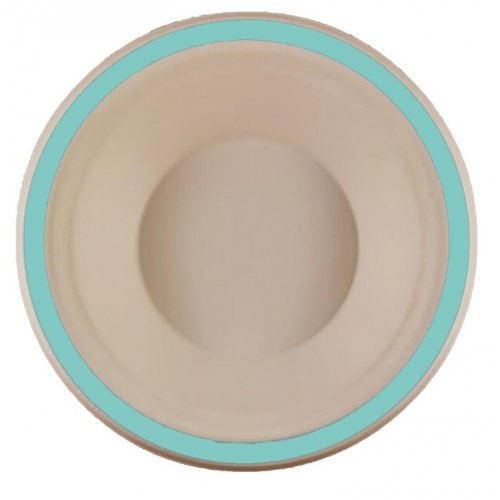 Sugarcane Bowls 160mm Mint Green P10x10