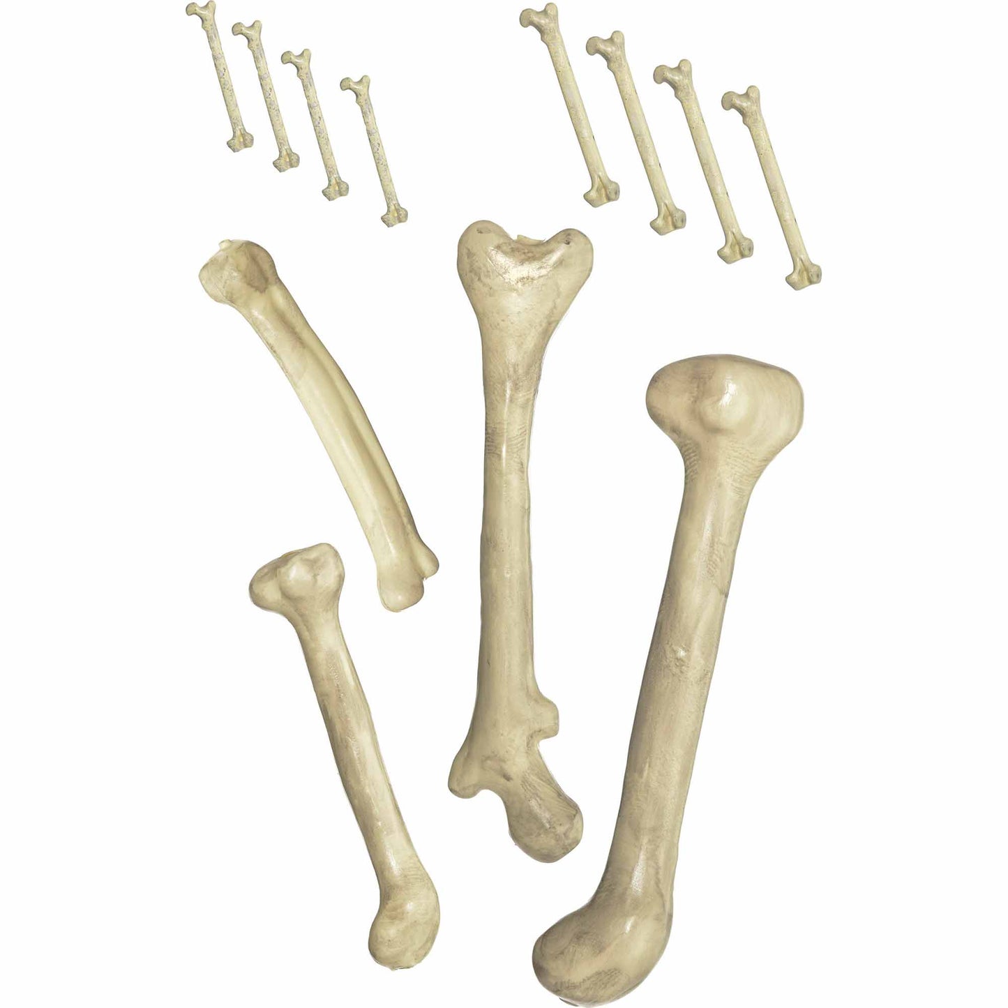 Bag of Bones NIS Packaging & Party Supply