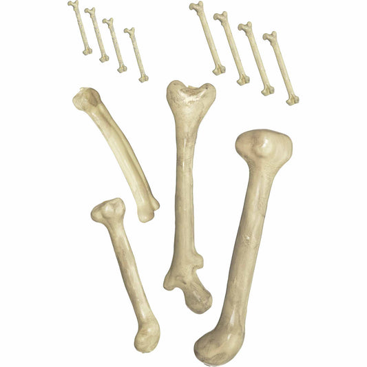 Bag of Bones NIS Packaging & Party Supply