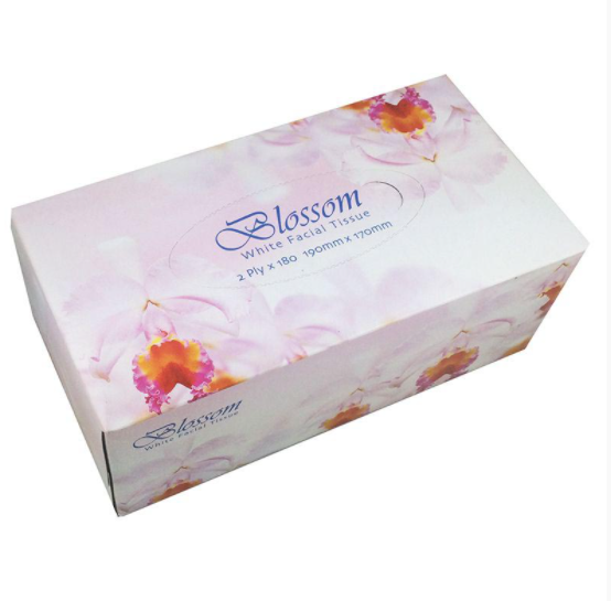 FACIAL TISSUE 2Ply 180 Sheets 1 BOX NIS Packaging & Party Supply