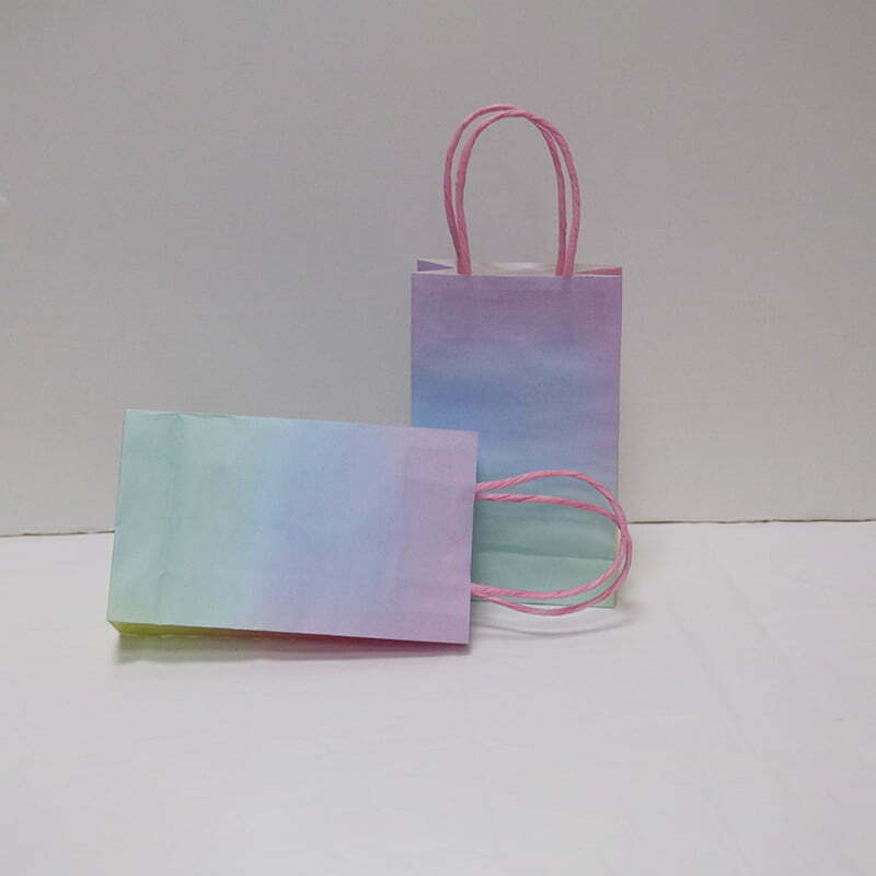 Gift/Paper Bag- PASTEL 5pk NIS Packaging & Party Supply