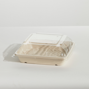 Sugarcane Unbleached Catering Platter 10" With Clear Lid (1PC)